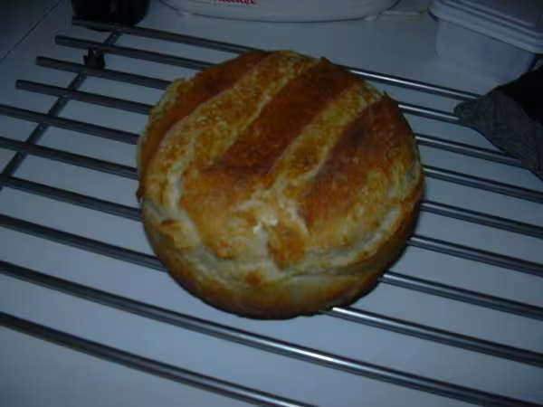 100 levain