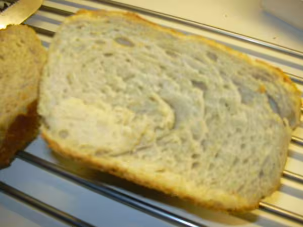 100 levain mie aeree