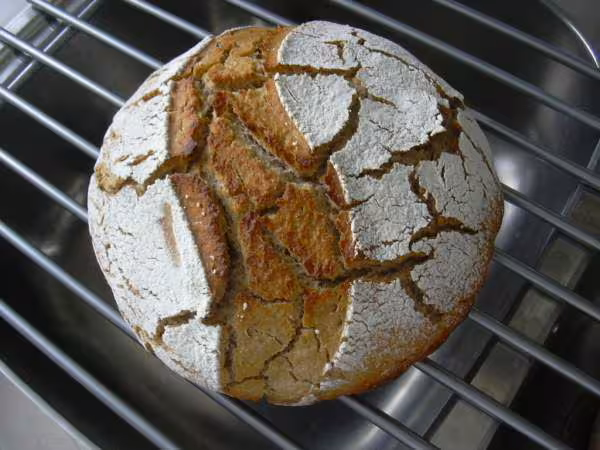 Epeautre levain