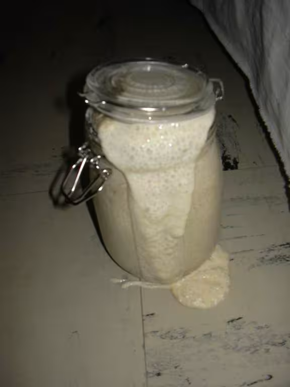 Levain