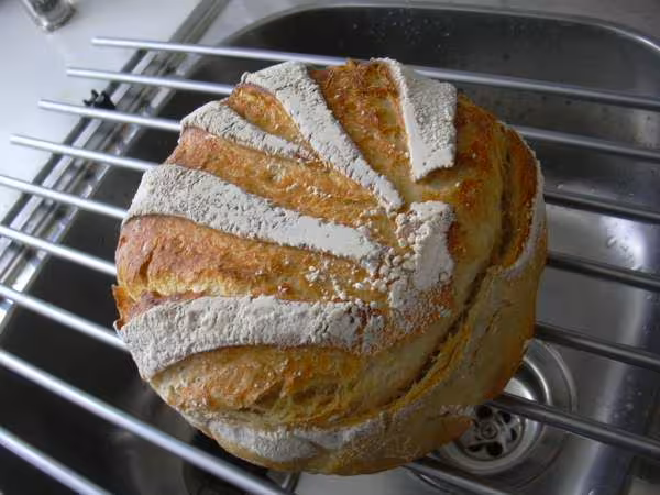 Pain 100 levain
