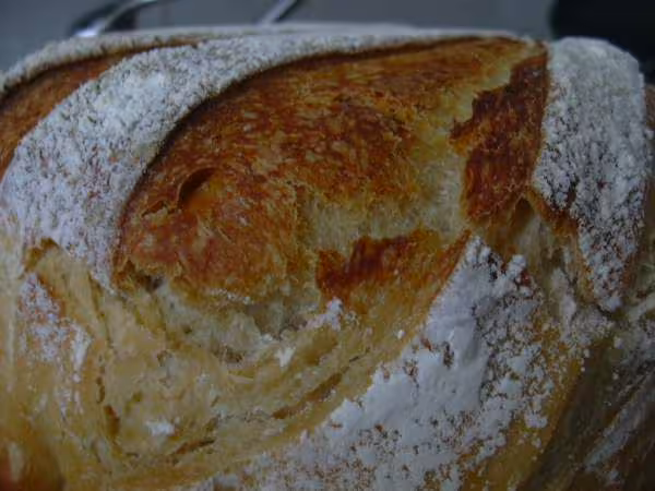 Pain 100 levain detail