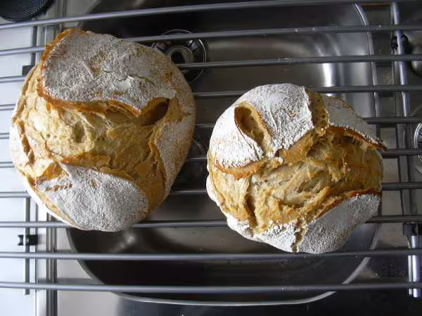 Pain campagne aldi