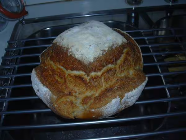 Pain du jour