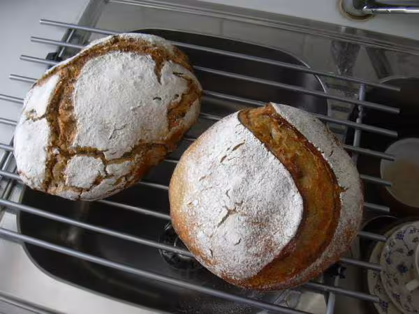 Pains tout levain