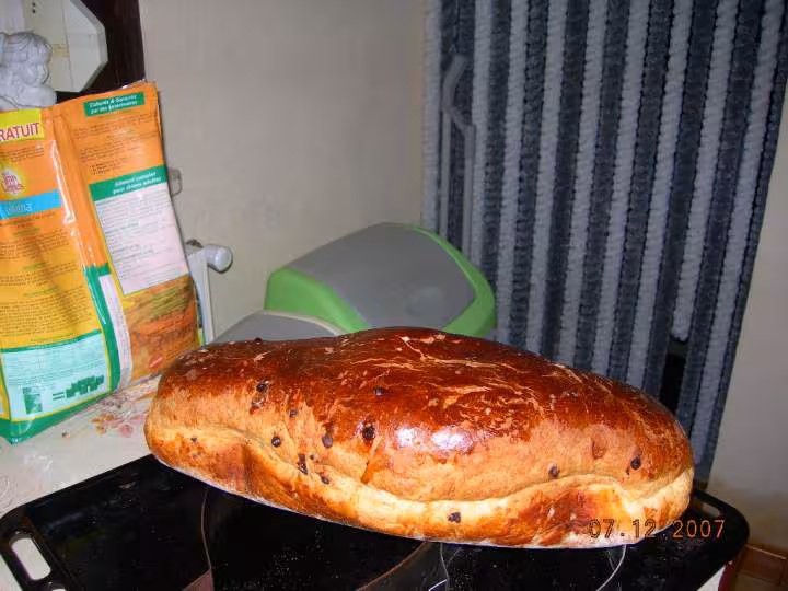 Coquille du nord