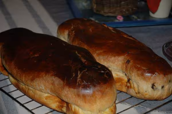 Coquille pour mes enfants
