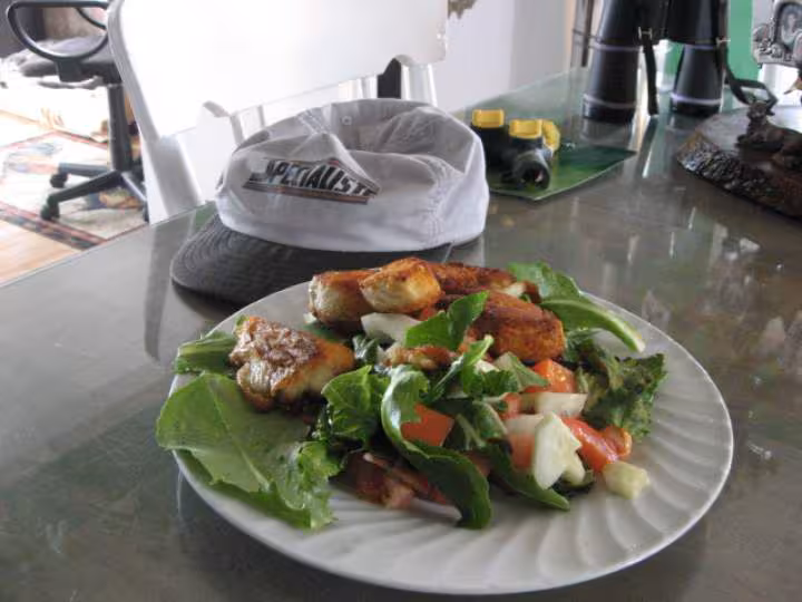 Fletan et salade