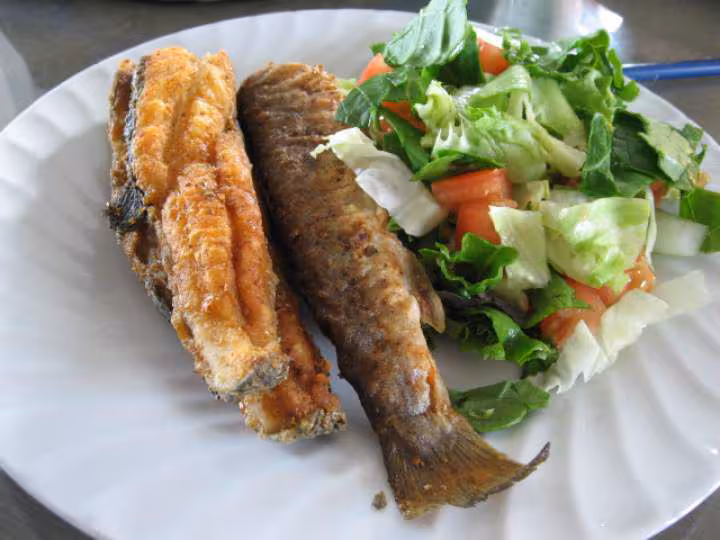 Truite de mer et salade