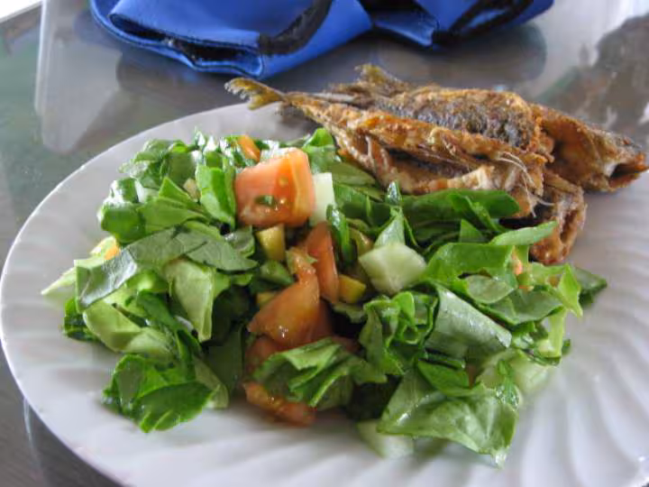 Truite et salade