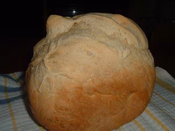 Le bout de mon nez