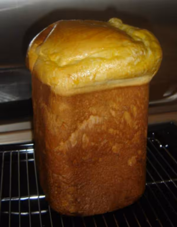 Et voila la fameux champignon