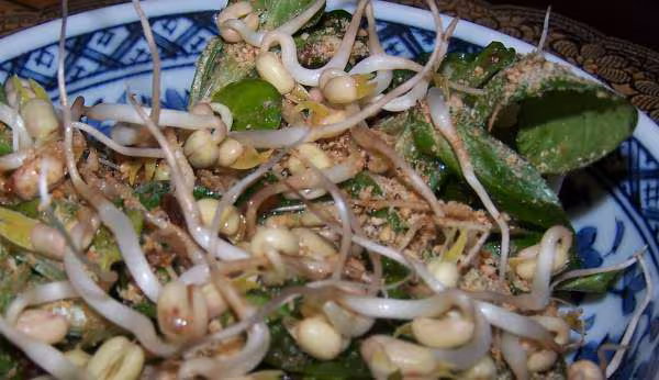 Parsemer les salades de gomasio