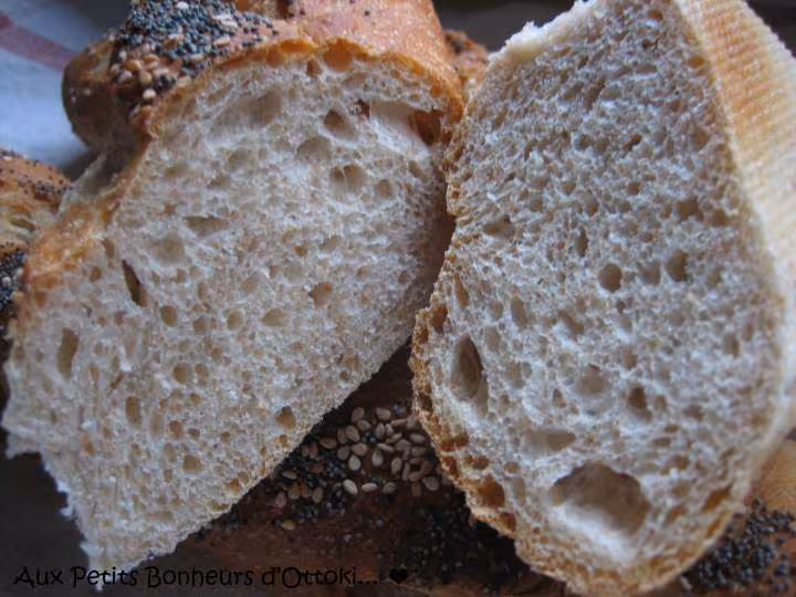 Baguettes aux graines au levain fermentescible en pana