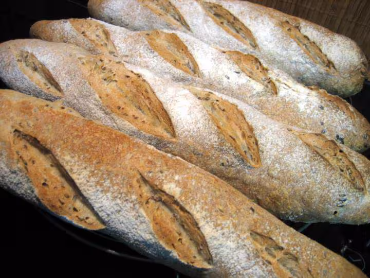 Baguettes poolish de polange post les baguettes c est chouette