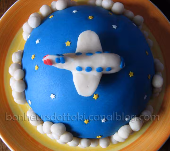 Gateau d anniversaire 3d et son avion