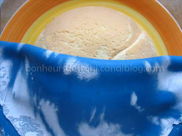 Gateau d anniversaire 3d et son avion recouvrir de pate d amande bleue