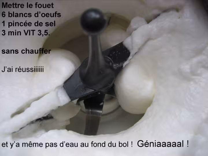 Mes blancs montes en neige reussis yes