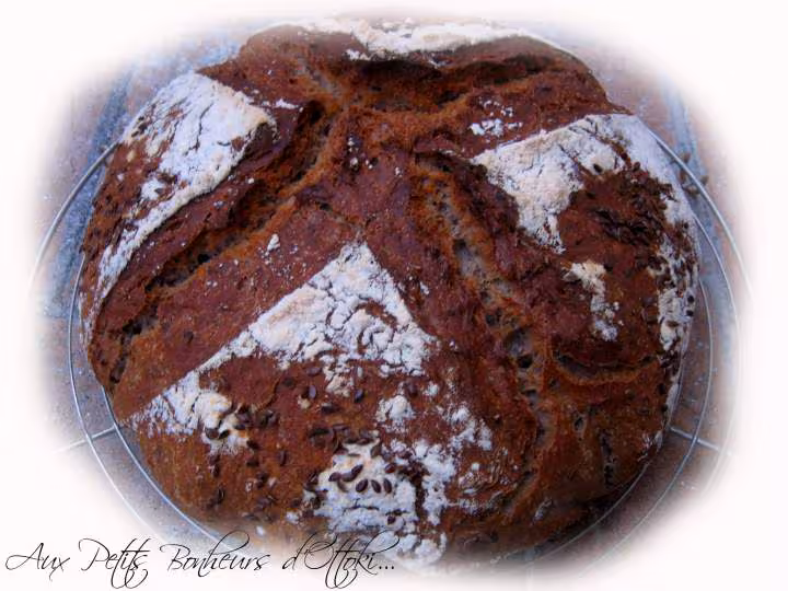 Pain a la chataigne et aux graines de fidji mais au levain liquide kayser