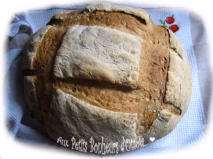 Pain au levain farine epeautre et bise map et four