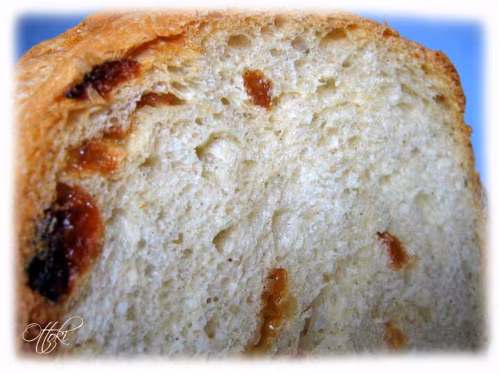 Pain brioche aux raisins de jul pana sd 255