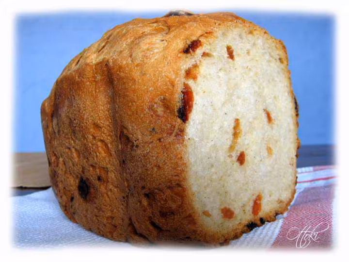 Pain brioche aux raisins de jul pana sd 255