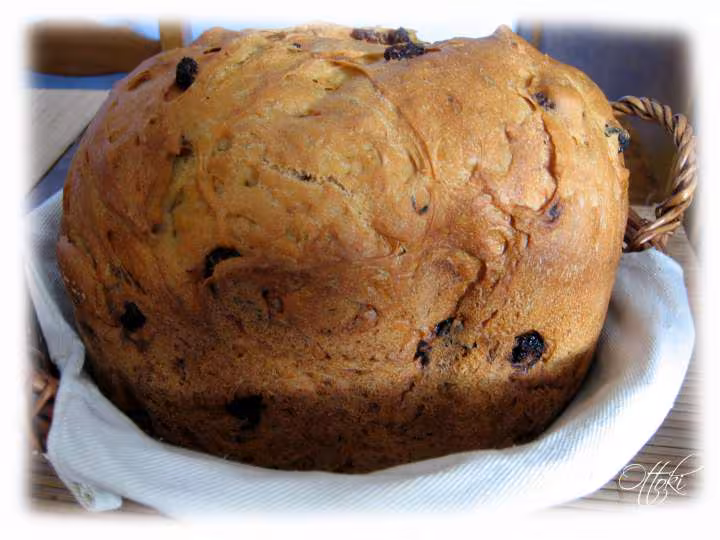 Pain brioche aux raisins de jul pana sd 255