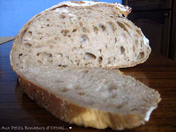 Pain de campagne au levain de david petri dans pana sd 255 et cuit en cocotte
