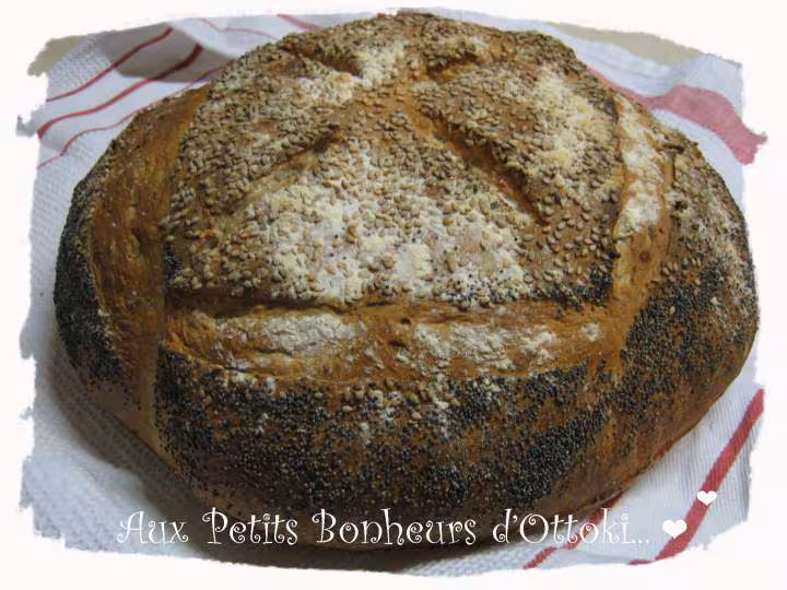 Pain de campagne au levain kayser petri en pana sd 255 et cuit au four