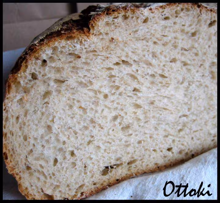 Pain de campagne petrissage pana et cuisson cocotte 1 kg