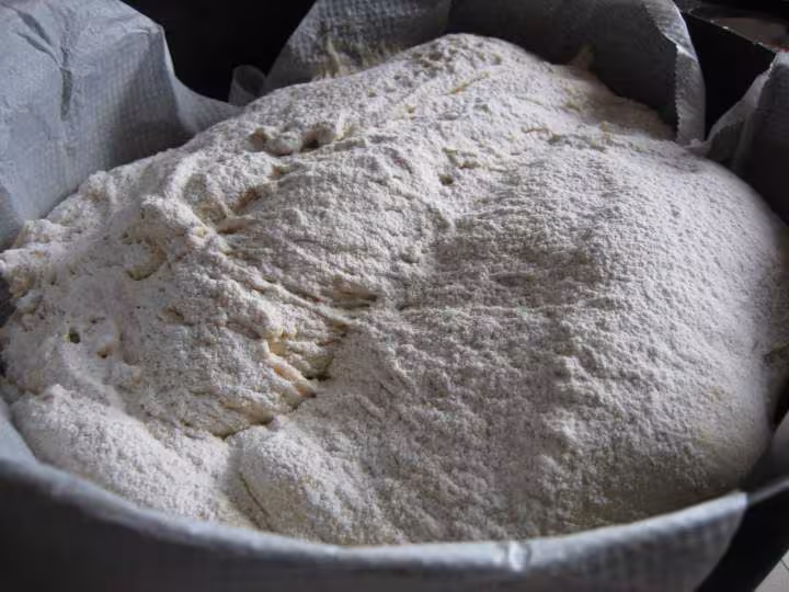 Pain de campagne petrissage pana et cuisson cocotte 1 kg