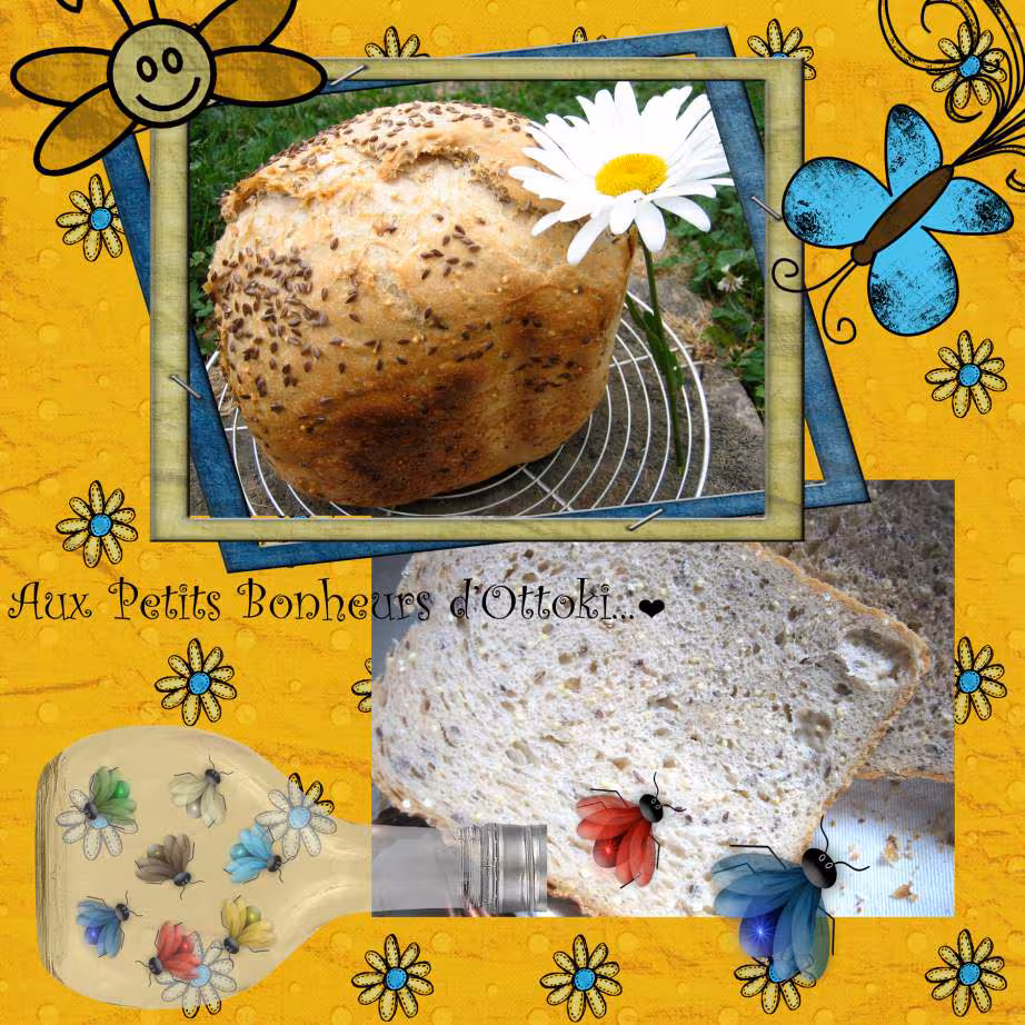 Pain de campagne sur poolish avec pana