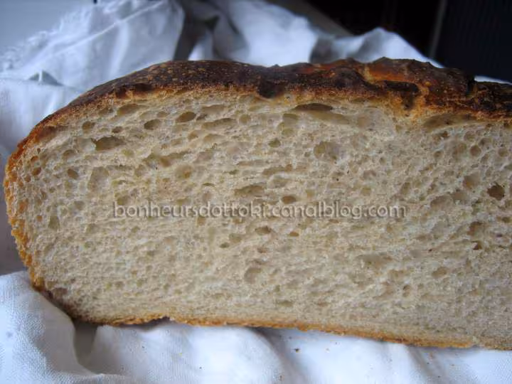 Pain de campagne sur poolish pana cuisson cocotte