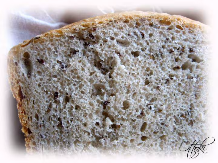 Pain de petit epeautre tout pana en 2 h