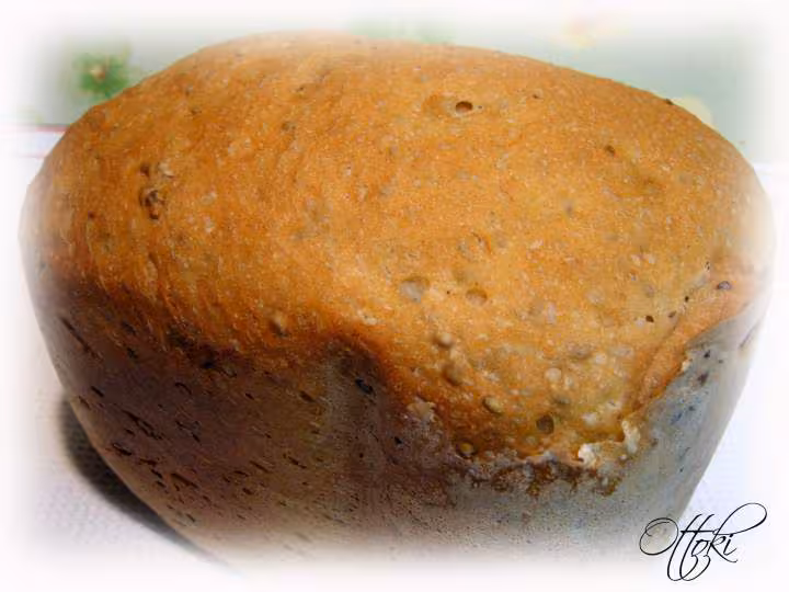 Pain de petit epeautre tout pana en 2 h