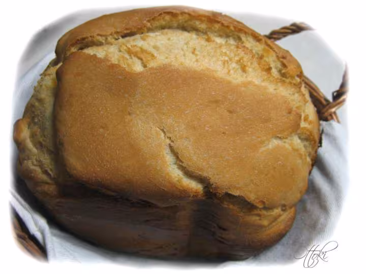 Pain de seigle rapide aux noix d hco 1 h 55 en pana