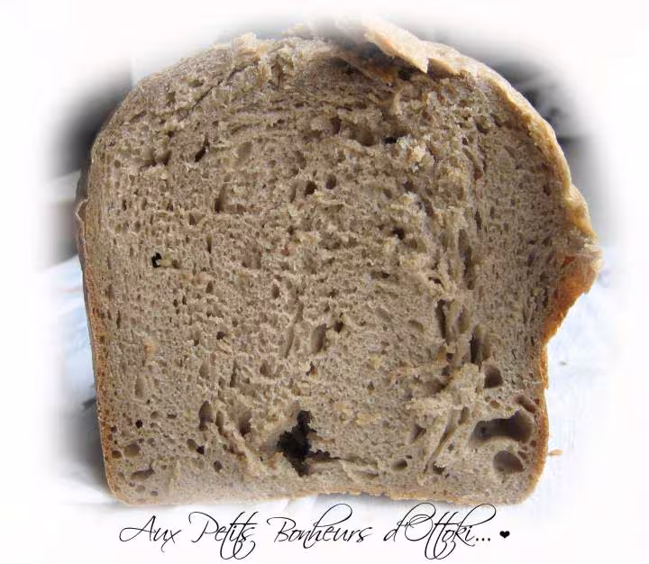 Pain de seigle tout au levain en map pana sd 255