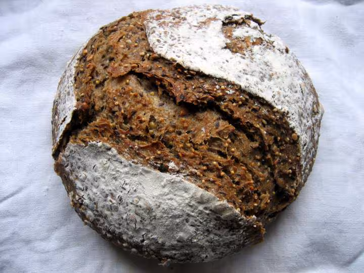 Pain tout cereales au levain autolyse