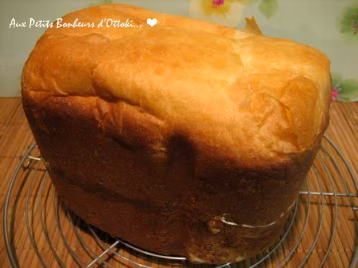 Panetone de lili40 ou panettone cuit dans la pana sd255