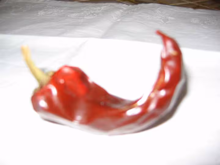 Piment du jardin de mon papa