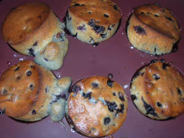 Muffins myrtilles