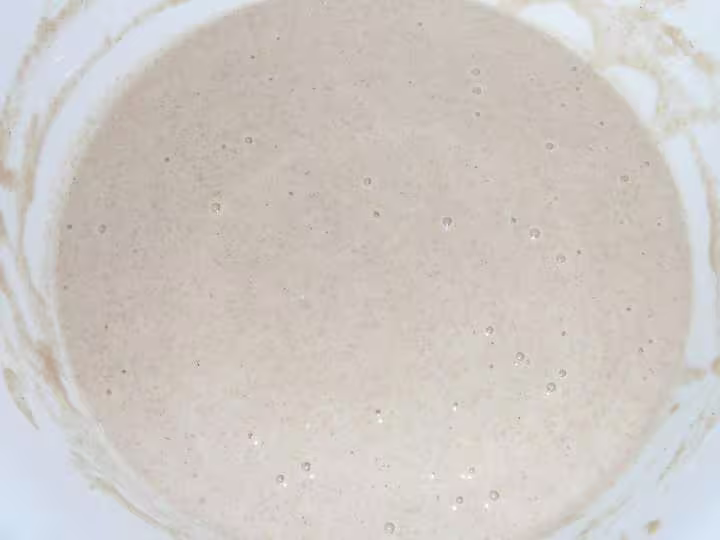 Levain paulo2