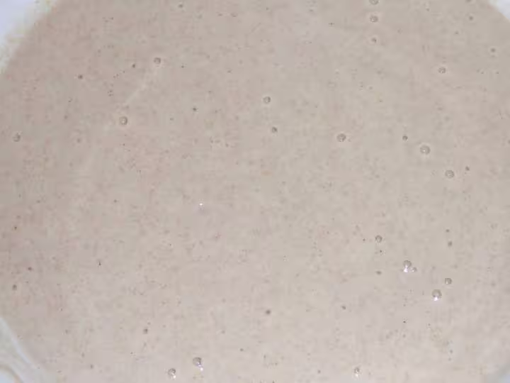 Levain paulo2