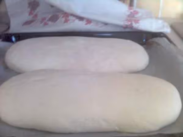 2 eme levee pains au levain