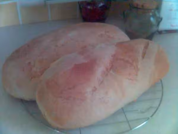 Mes premiers pains au levain levain preparer 12 h avant