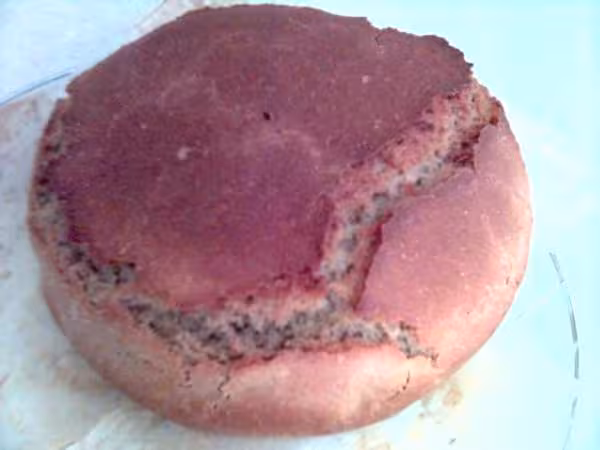 Pain noir au levain liquide recette adgara84