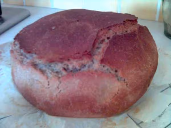 Pain noir au levain recette adgara84