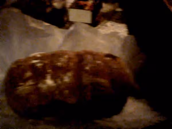 Pain levain naturel 1