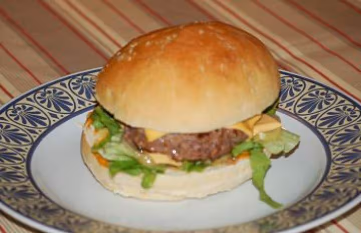 Hamburger2
