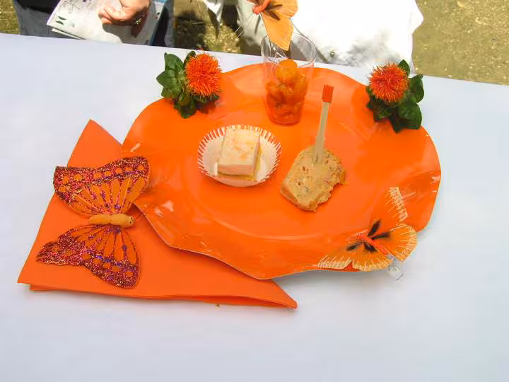 Assiette orange